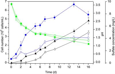 Insight Into Interactions of Thermoacidophilic Archaea With Elemental Sulfur: Biofilm Dynamics and EPS Analysis